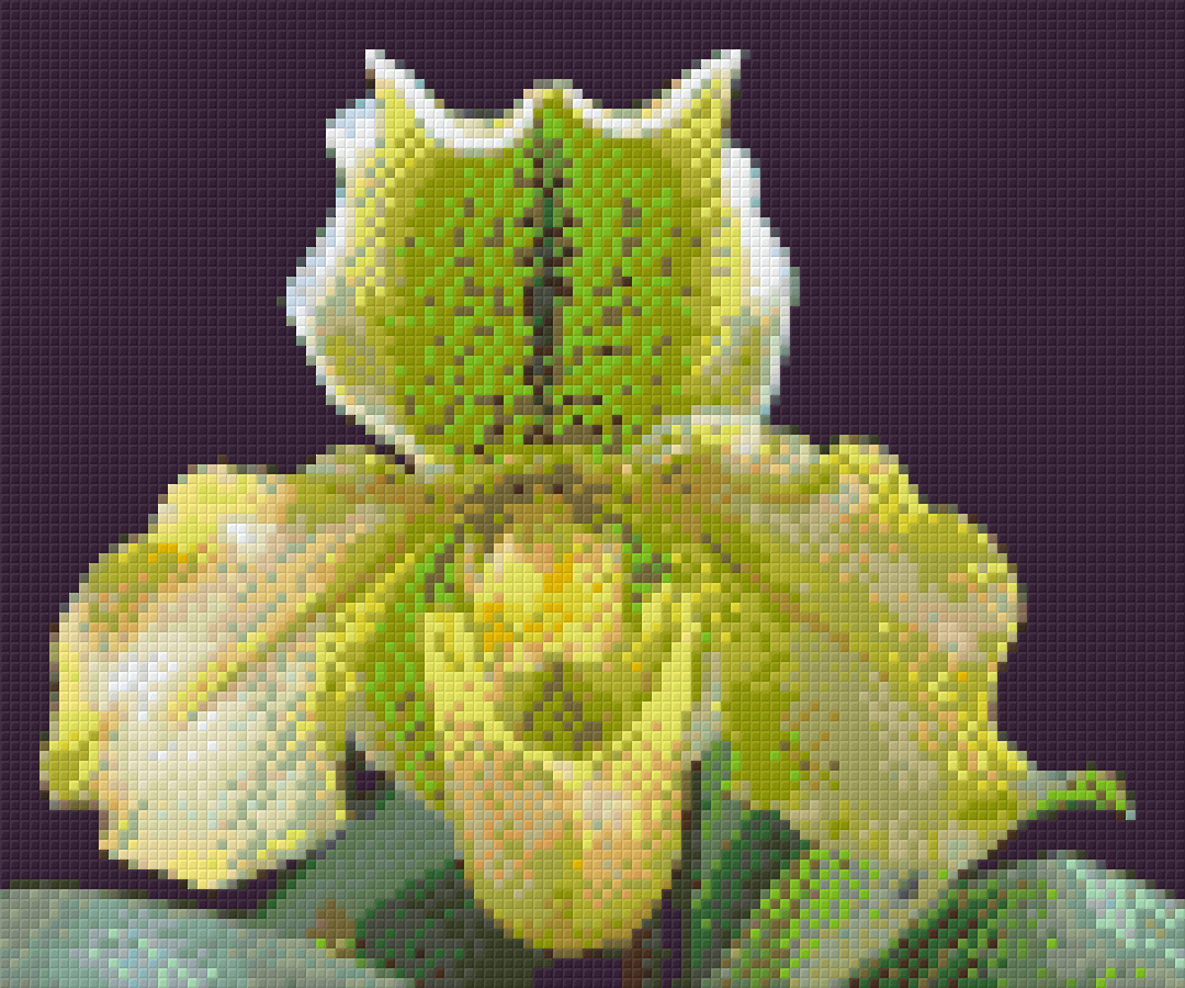 Slipper Orchard Six [6] Baseplate PixelHobby Mini-mosaic Art Kits image 0